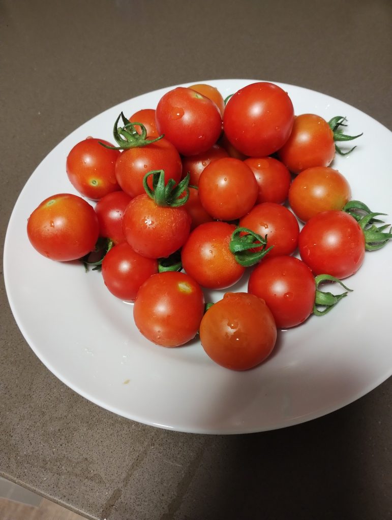 530 grams of freshly picked cherry tomatoes